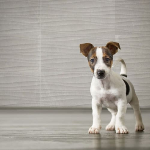 奧斯蒙原石石紋磚-波浪灰