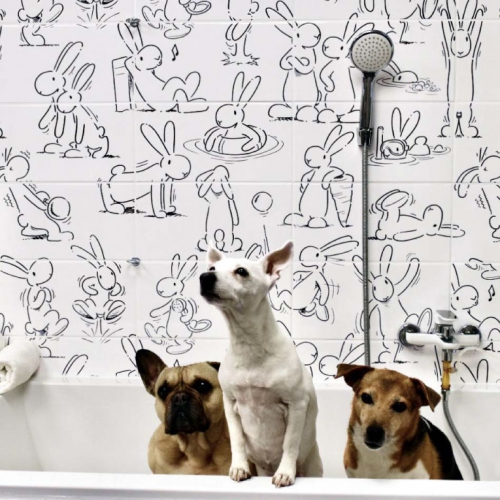 哈勒姆普普風花磚